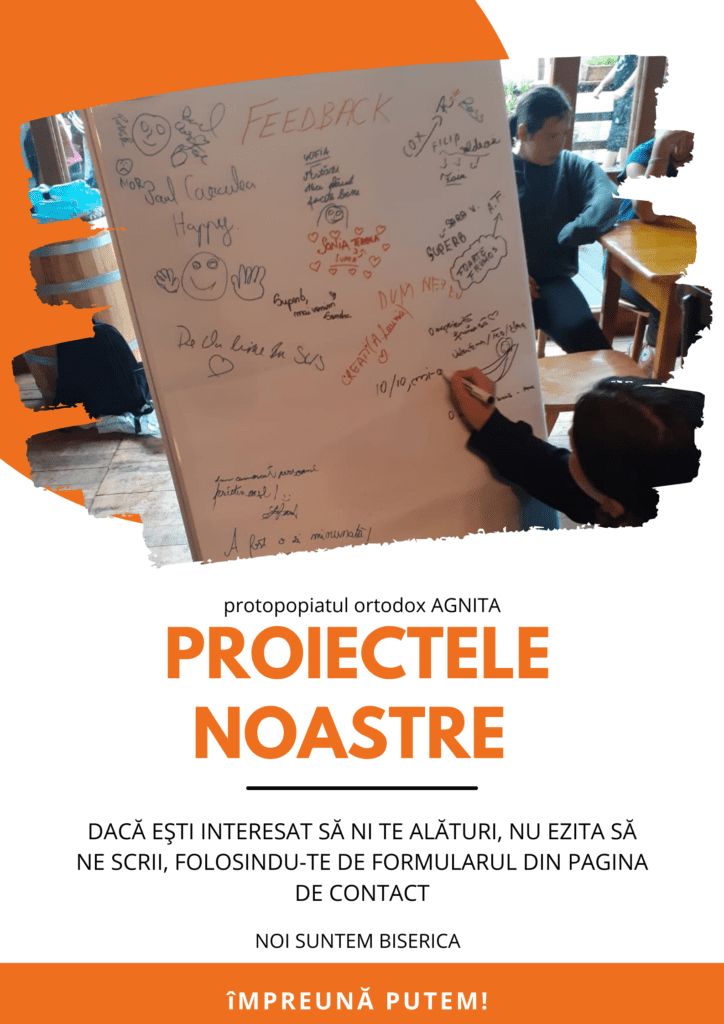 Proiecte